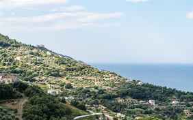 Die Anlage befindet sich nicht nur nah am Meer, sondern überzeugt auch mit viel Grünfläche. 